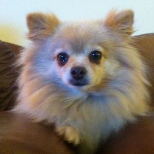 Meet your Posher, Jacob